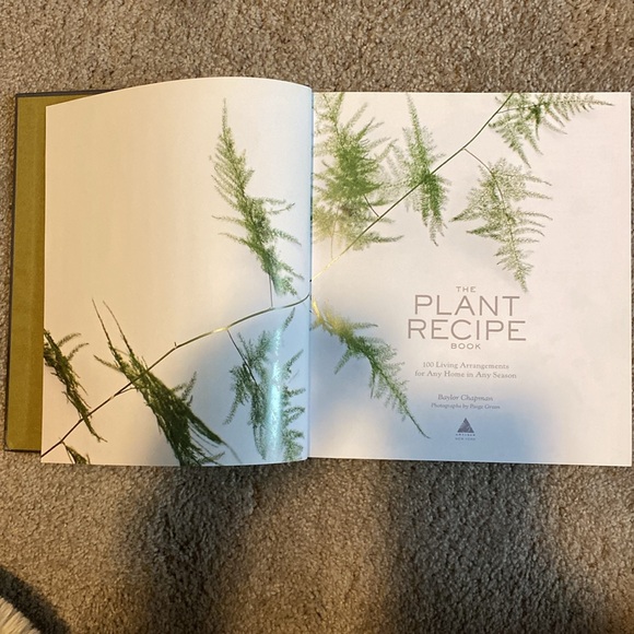 The Plant Recipe Book: 100 Living Arrangements for Any Home in Any Season -- Bay - Picture 4 of 5